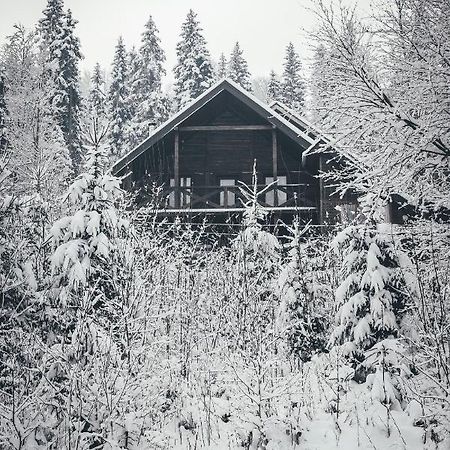 Chalet Shepit Karpat Μπούκοβελ Εξωτερικό φωτογραφία