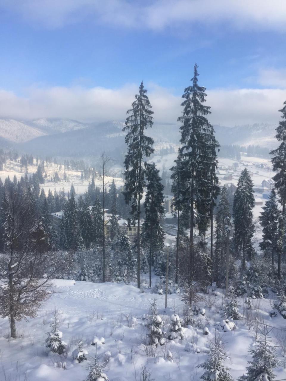 Chalet Shepit Karpat Μπούκοβελ Εξωτερικό φωτογραφία