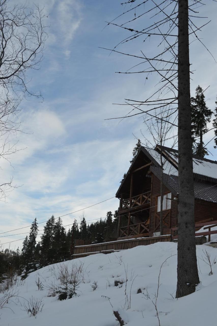 Chalet Shepit Karpat Μπούκοβελ Εξωτερικό φωτογραφία
