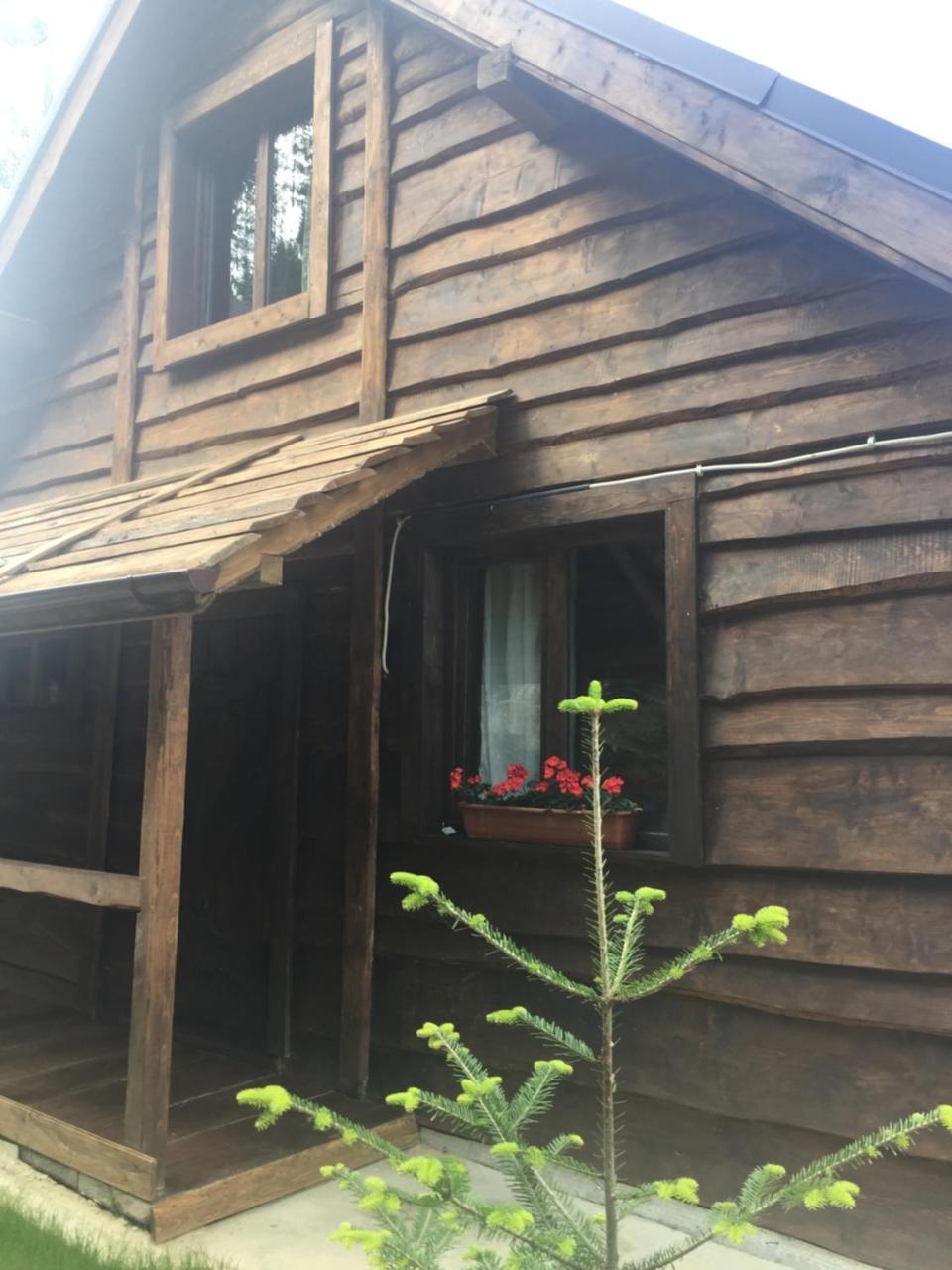 Chalet Shepit Karpat Μπούκοβελ Εξωτερικό φωτογραφία