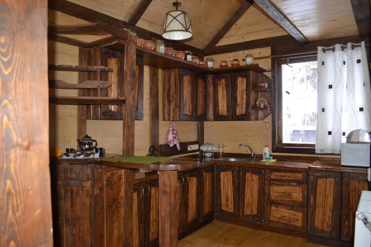 Chalet Shepit Karpat Μπούκοβελ Εξωτερικό φωτογραφία