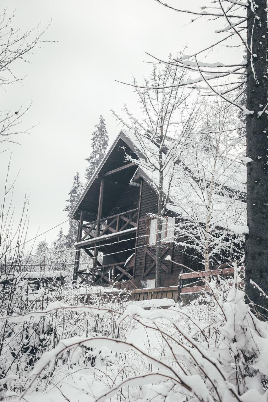 Chalet Shepit Karpat Μπούκοβελ Εξωτερικό φωτογραφία