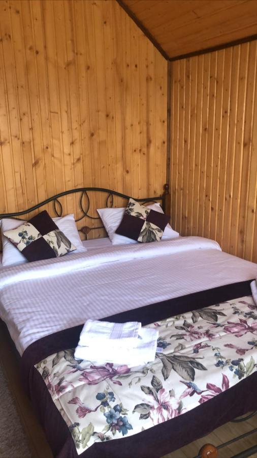 Chalet Shepit Karpat Μπούκοβελ Εξωτερικό φωτογραφία